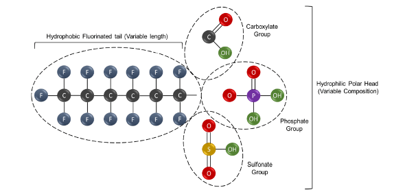 Fig. 1 : Structure générale des PFAS non polymères et perfluorés.